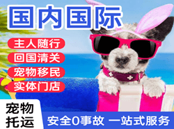 张家界荷花空运地址国际宠物托运 【国